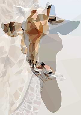 Giraffes in triplicate