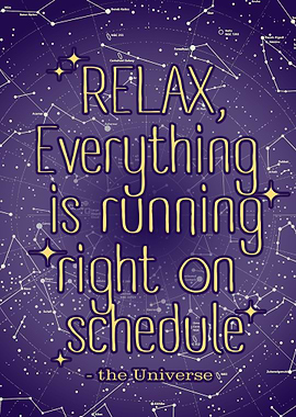 Relax Funny Cosmos Poster