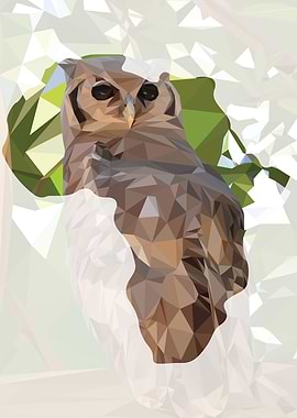 Owl in Africa
