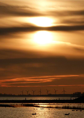 artistima Livingbythelake