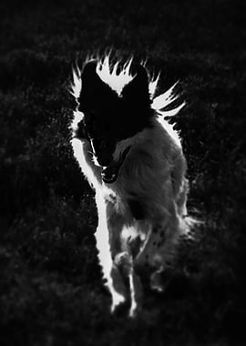 artistima NORD art print