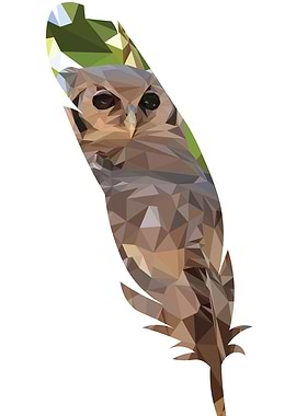 Feathered Owl