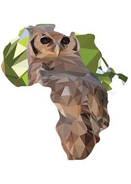 African Owl