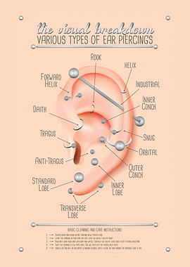 Ear Piercing Chart