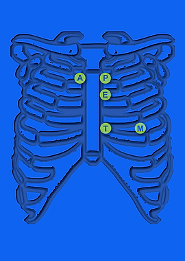 Cardiac Auscultation