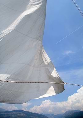 White sail above