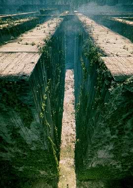 The Maze Runner