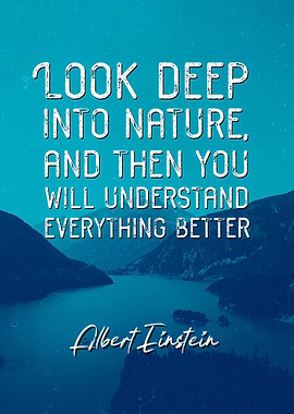 Albert Einstein Quote