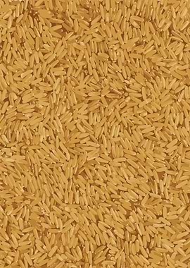Brown Rice