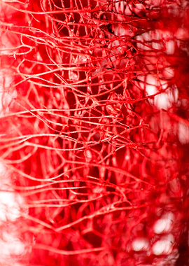 Trippy potpourri abstract