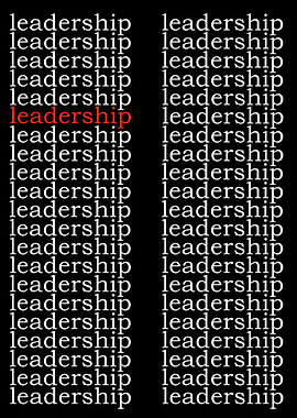 leadership