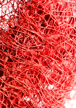 Trippy potpourri abstract