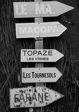 Les Tournesols in SaintTro