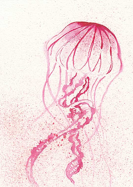 Red Jellyfish