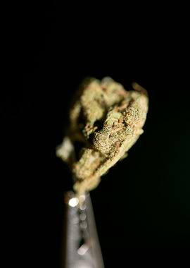 Lemon haze super skunk top