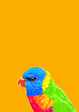 Rainbow Lorikeet