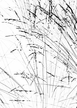 Winter Grass Left Part