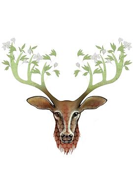 The Spring Deer