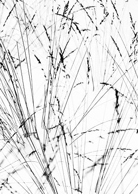 Winter Grass Right Part