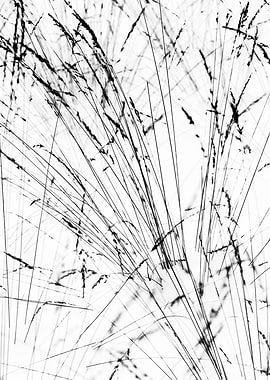 Winter Grass Abstract