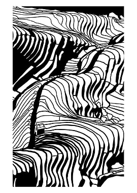 Vietnamese rice fields