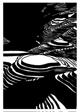 Vietnamese rice terrace