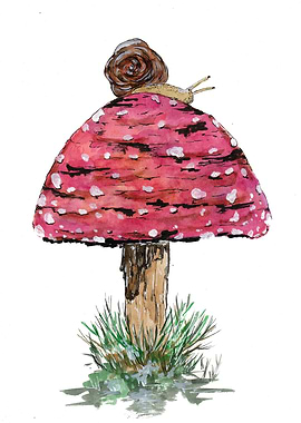 Fly Agaric and Snail