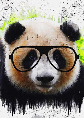 Cute Panda