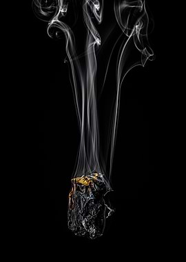 Rose smoke and fire nr 2