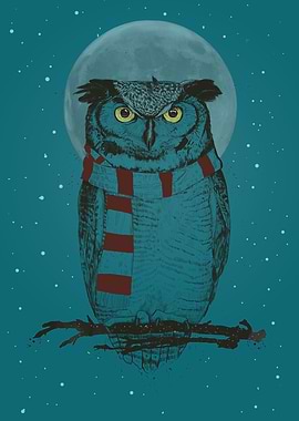 Winter owl II