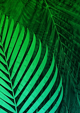 TROPICAL GREEN LEAVES 6