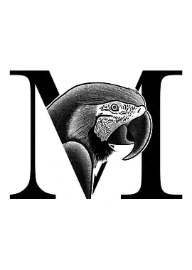 M is for Macaw