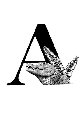 A is for Alligator