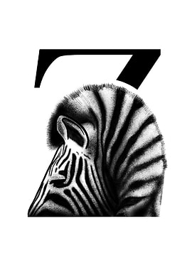 Z is for Zebra