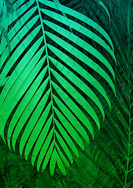 TROPICAL GREEN LEAVES 5