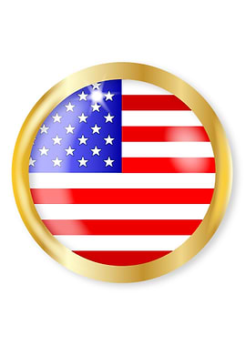 USA Button