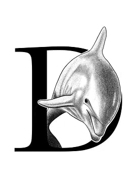 D is for Dolphin