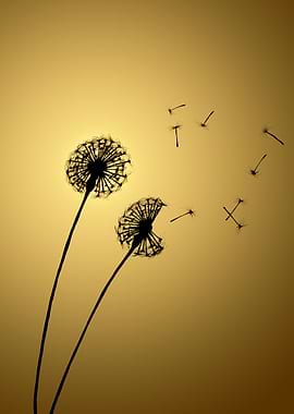 Dandelion Glow