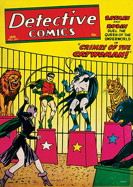 Crimes of the Catwoman