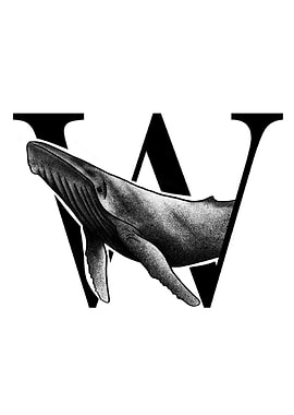 W is for Whale