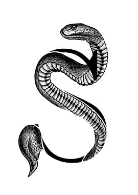 S is for Snake