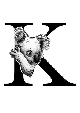 K is for Koala