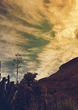 Everything is in the cloud