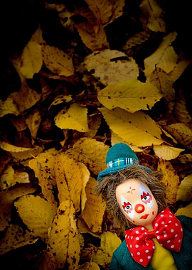 Sad clown doll portrait