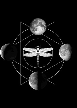 Dragonfly with moons