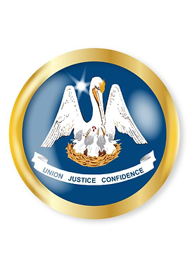 Louisiana Flag Button