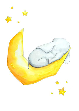 Elephant sleeps on Moon