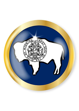 Wyoming Flag Button