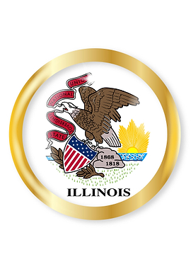Illinois Flag Button