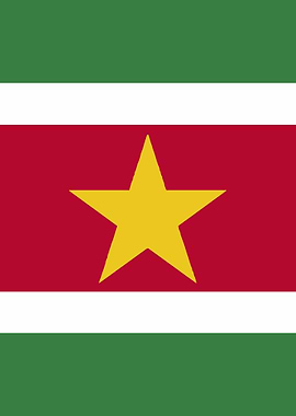 Suriname Flag